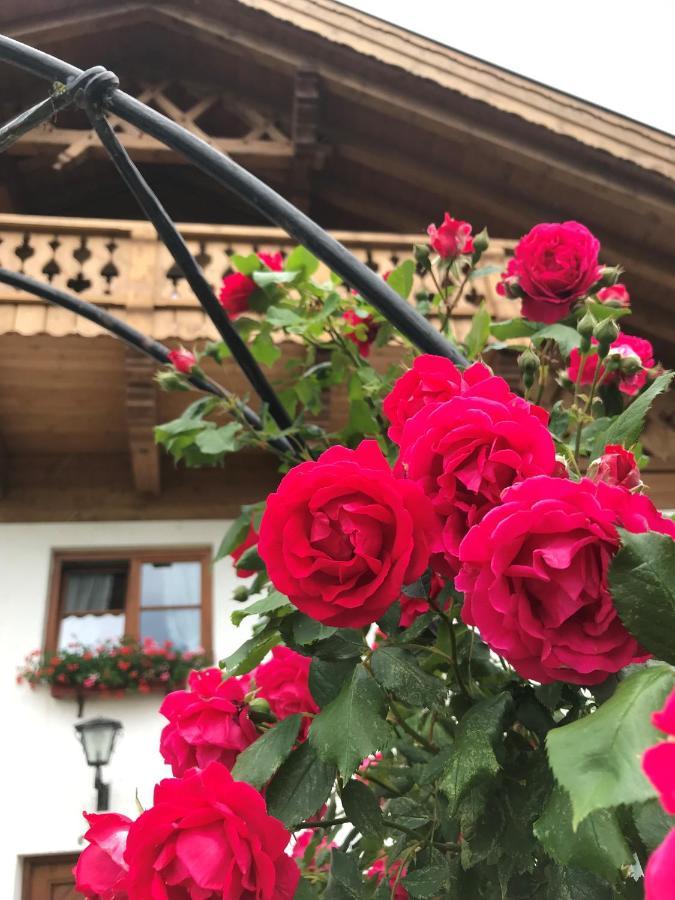 Landhaus Manuela & Haus Michael Leutasch Dış mekan fotoğraf